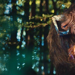 Bilder Emily und der vergessene Zauber