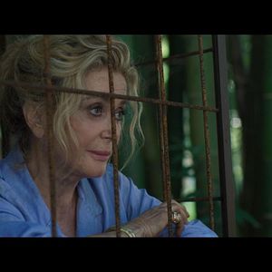 Bilder Terrible Jungle