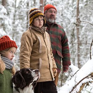 Bilder Weihnachten im Zaubereulenwald