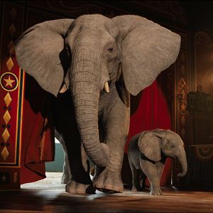 Bilder Der einzig wahre Ivan