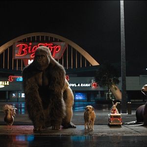 Bilder Der einzig wahre Ivan