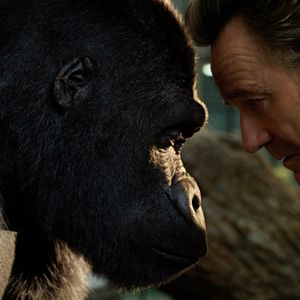 Bilder Bryan Cranston