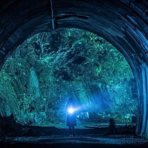 Bilder Howling Village