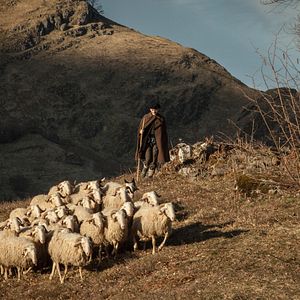 Bilder Nur ein einziges Leben