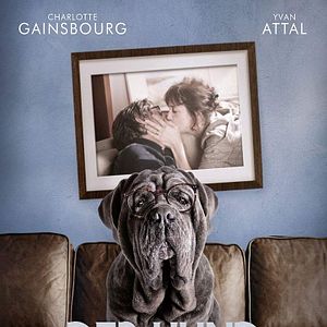 Bilder Der Hund bleibt