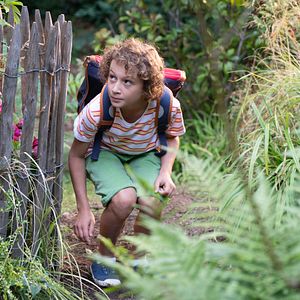 Bilder Gavril Dartevelle