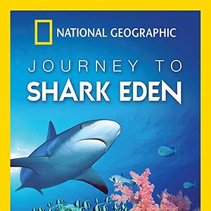 Bilder Journey to the Shark Eden