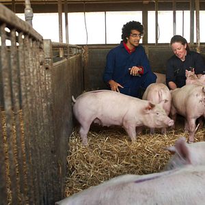 Bilder Vernetzt - Wissenschaft ist überall