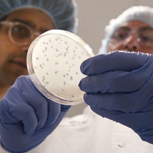 Bilder Vernetzt - Wissenschaft ist überall