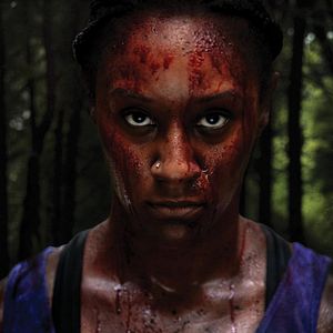 Bilder Range Runners