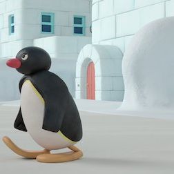 Bilder Pingu In The City