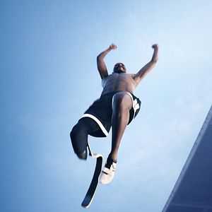 Bilder Phönix aus der Asche