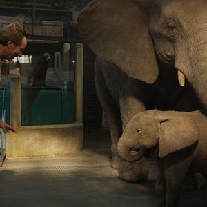 Bilder Der einzig wahre Ivan