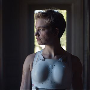 Bilder Phönix aus der Asche