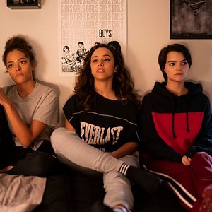 Bilder Diebische Elstern