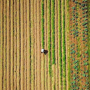 Bilder Unser Boden, unser Erbe