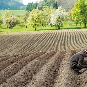 Bilder Unser Boden, unser Erbe