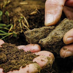 Bilder Unser Boden, unser Erbe