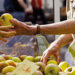 Bilder Unser Boden, unser Erbe