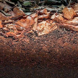 Bilder Unser Boden, unser Erbe