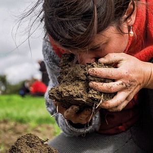 Bilder Unser Boden, unser Erbe