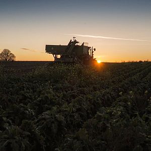 Bilder Unser Boden, unser Erbe