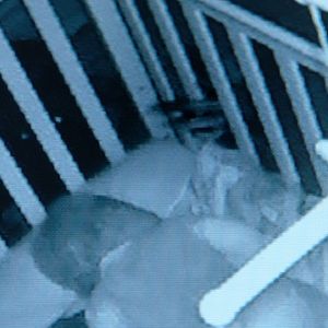 Bilder The Witch Next Door