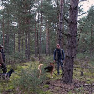 Bilder Die Rückkehr der Wölfe