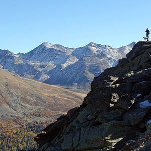 Bilder Die Rückkehr der Wölfe