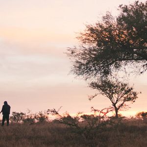 Bilder Was geschah mit Bus 670?