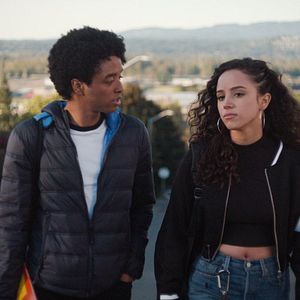 Bilder Diebische Elstern