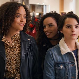 Bilder Diebische Elstern