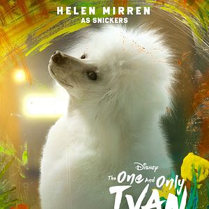 Bilder Der einzig wahre Ivan