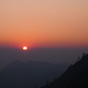 Bilder Selbst Geheilt