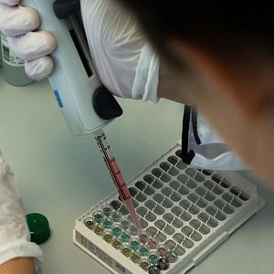 Bilder Selbst Geheilt