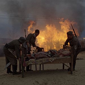 Bilder Komm und sieh