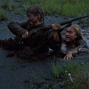 Bilder Komm und sieh