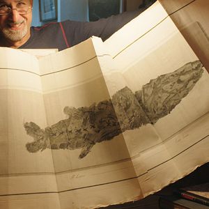 Bilder The Booksellers - Aus Liebe zum Buch