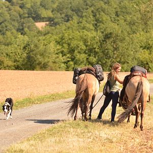 Bilder Wildherz - Auf der Reise zu mir selbst