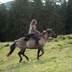 Bilder Wildherz - Auf der Reise zu mir selbst