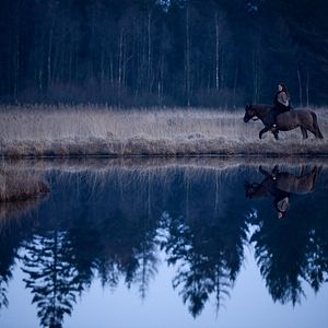 Bilder Wildherz - Auf der Reise zu mir selbst