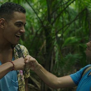 Bilder Terence Telle