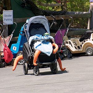 Bilder Pixar In Real Life