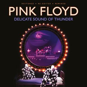 Bilder Pink Floyd: Delicate Sound of Thunder
