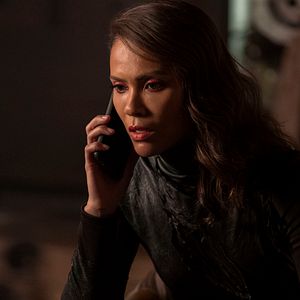 Bilder Lesley-Ann Brandt