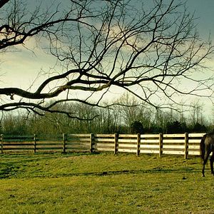 Bilder Shelly und Orphan - Im Schicksal vereint