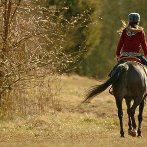 Bilder Shelly und Orphan - Im Schicksal vereint