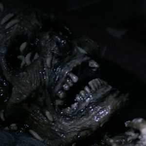 Bilder Candy Corn - Dr. Death's Freakshow