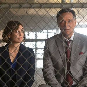 Bilder Bluff City Law