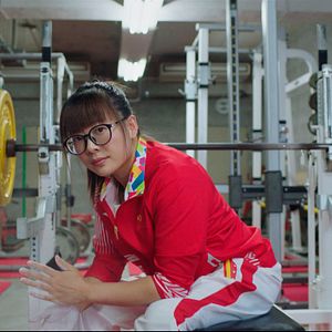 Bilder Phönix aus der Asche